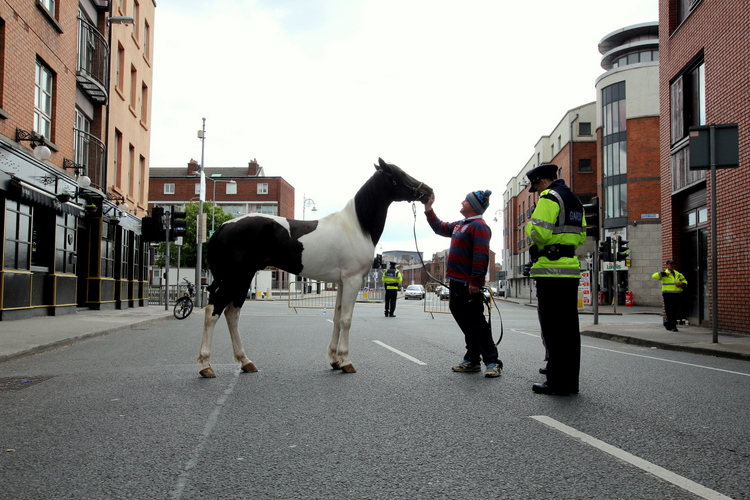 smithfield horse market