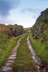 Bog road, Donegal