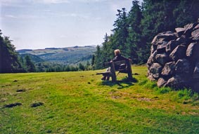 Avondale, Rathdrum, Co Wicklow